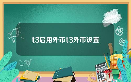t3启用外币t3外币设置
