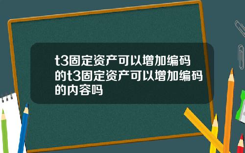 t3固定资产可以增加编码的t3固定资产可以增加编码的内容吗