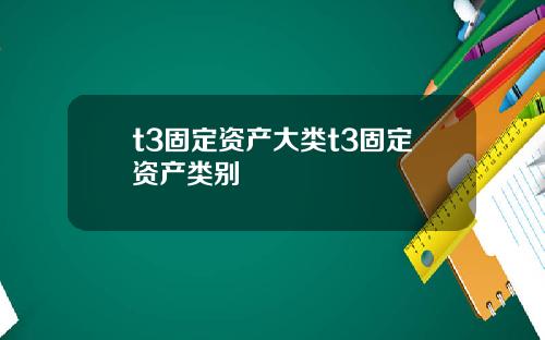 t3固定资产大类t3固定资产类别