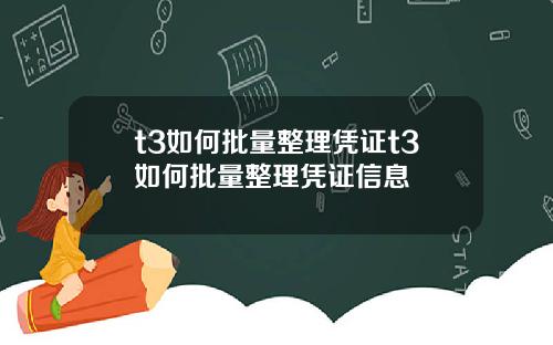 t3如何批量整理凭证t3如何批量整理凭证信息
