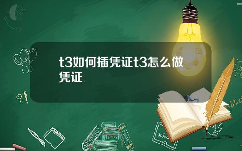 t3如何插凭证t3怎么做凭证