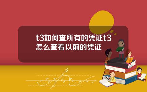 t3如何查所有的凭证t3怎么查看以前的凭证
