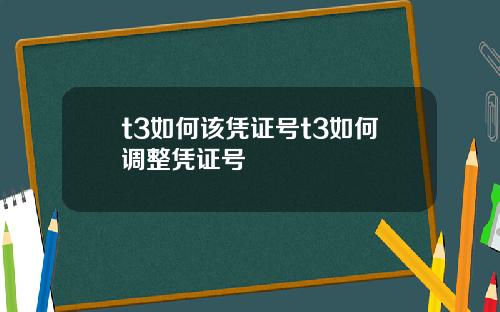 t3如何该凭证号t3如何调整凭证号