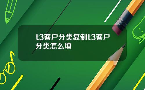 t3客户分类复制t3客户分类怎么填