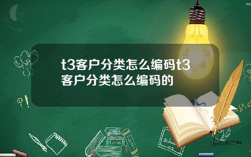 t3客户分类怎么编码t3客户分类怎么编码的
