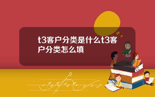 t3客户分类是什么t3客户分类怎么填