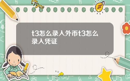 t3怎么录入外币t3怎么录入凭证