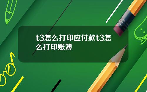 t3怎么打印应付款t3怎么打印账簿