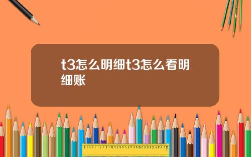 t3怎么明细t3怎么看明细账