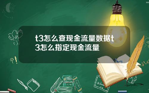 t3怎么查现金流量数据t3怎么指定现金流量