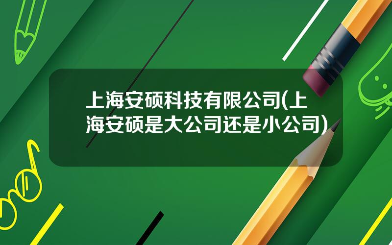 上海安硕科技有限公司(上海安硕是大公司还是小公司)