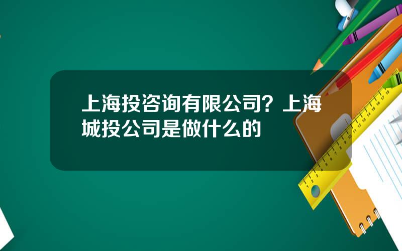 上海投咨询有限公司？上海城投公司是做什么的
