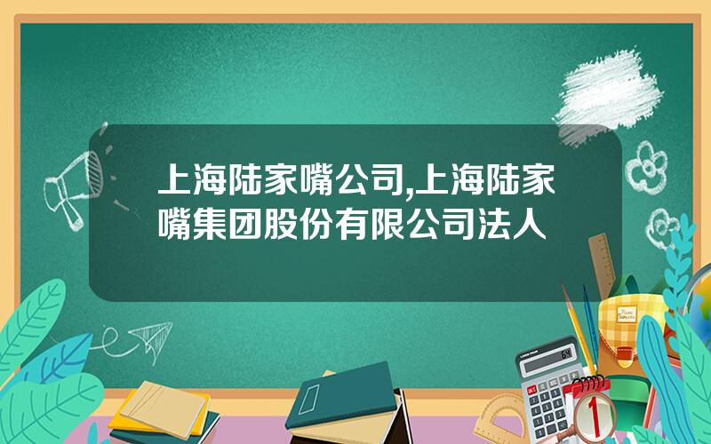 上海陆家嘴公司,上海陆家嘴集团股份有限公司法人