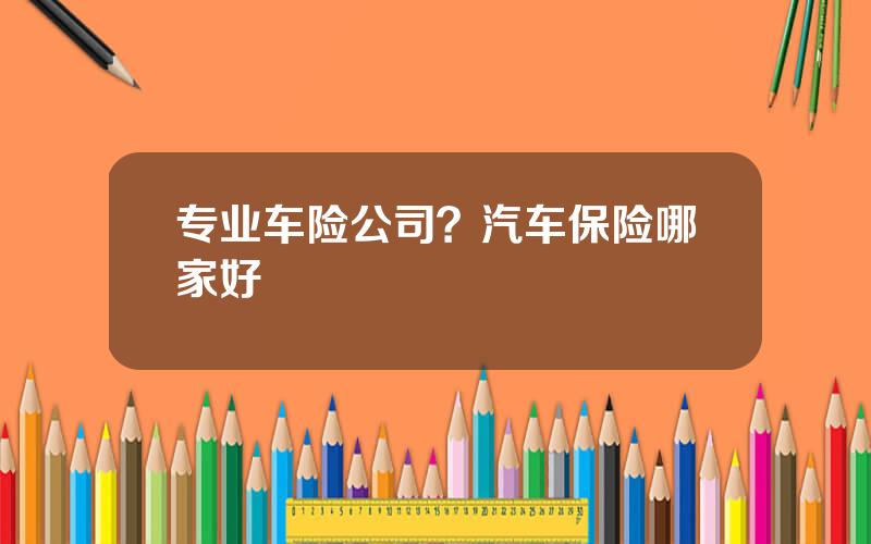 专业车险公司？汽车保险哪家好