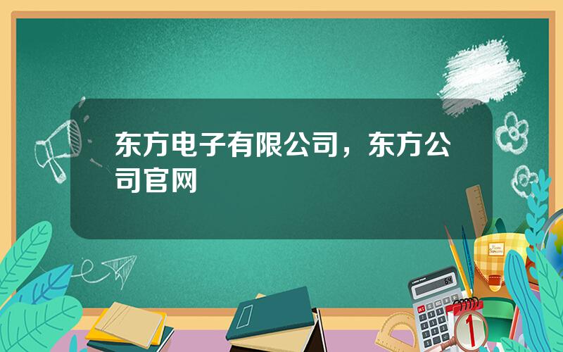 东方电子有限公司，东方公司官网