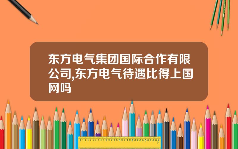 东方电气集团国际合作有限公司,东方电气待遇比得上国网吗