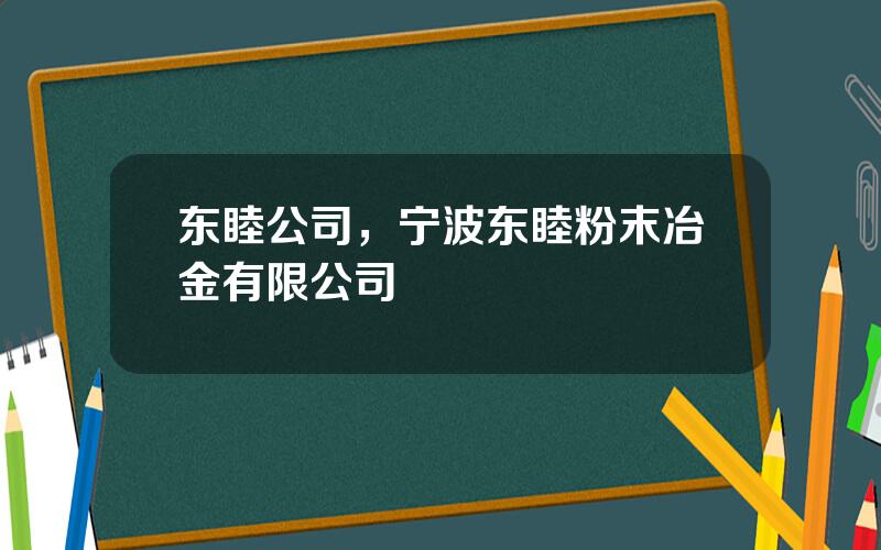 东睦公司，宁波东睦粉末冶金有限公司