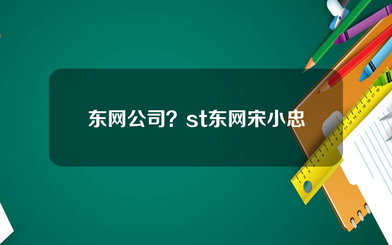 东网公司？st东网宋小忠