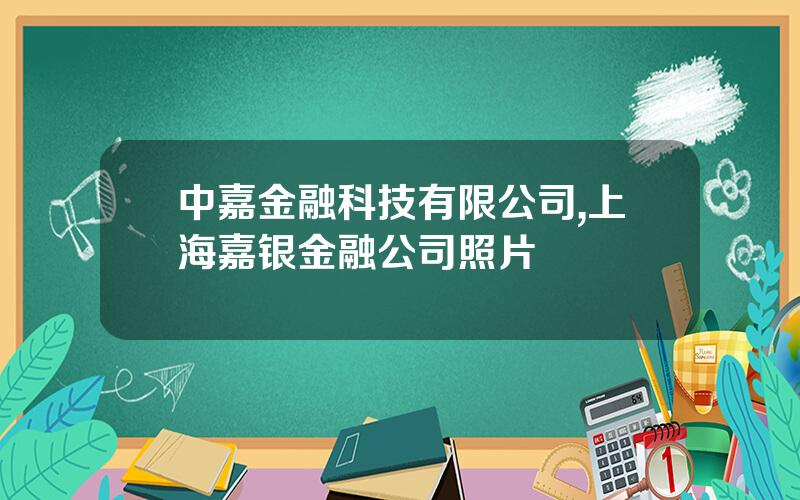 中嘉金融科技有限公司,上海嘉银金融公司照片