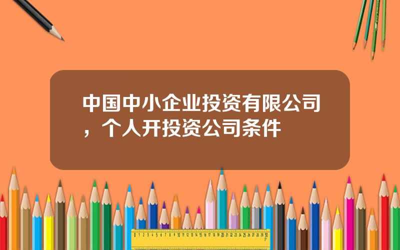 中国中小企业投资有限公司，个人开投资公司条件