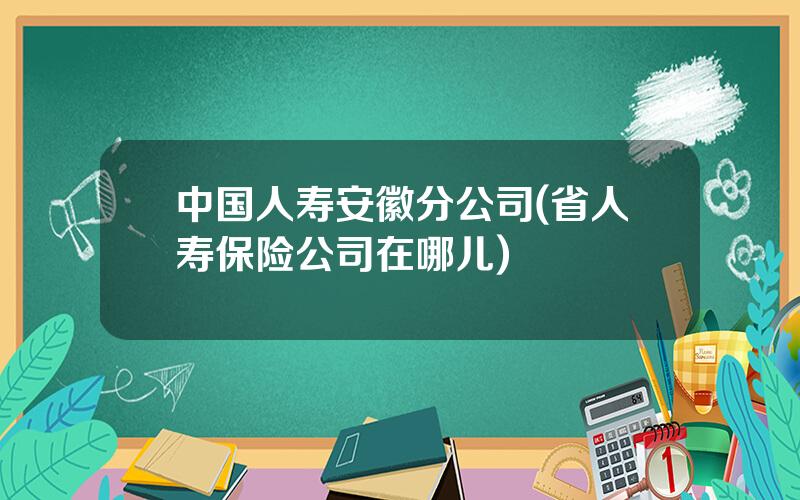 中国人寿安徽分公司(省人寿保险公司在哪儿)