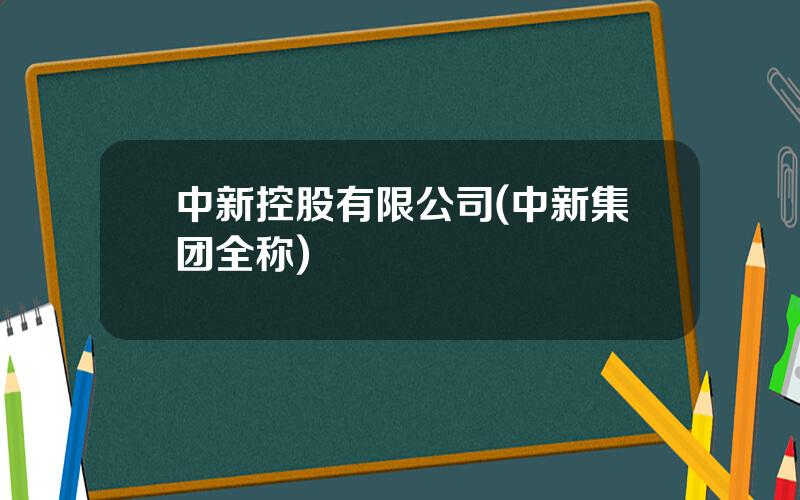 中新控股有限公司(中新集团全称)