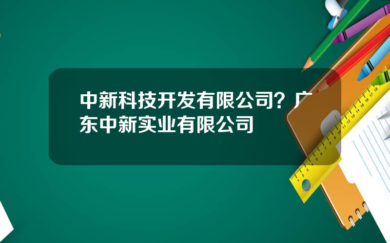 中新科技开发有限公司？广东中新实业有限公司