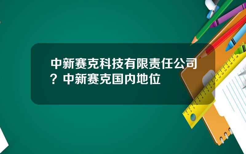中新赛克科技有限责任公司？中新赛克国内地位
