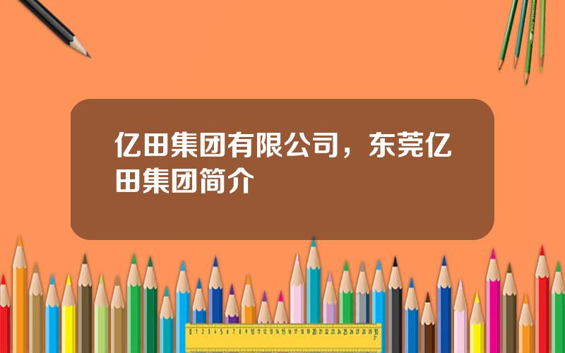 亿田集团有限公司，东莞亿田集团简介