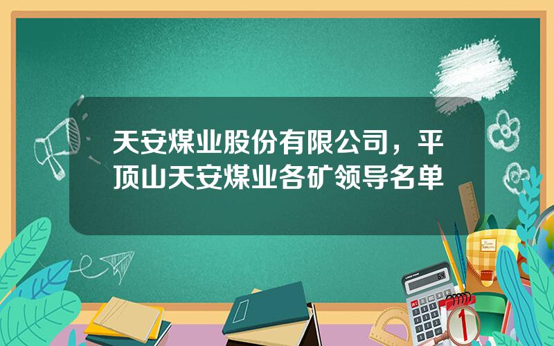 天安煤业股份有限公司，平顶山天安煤业各矿领导名单