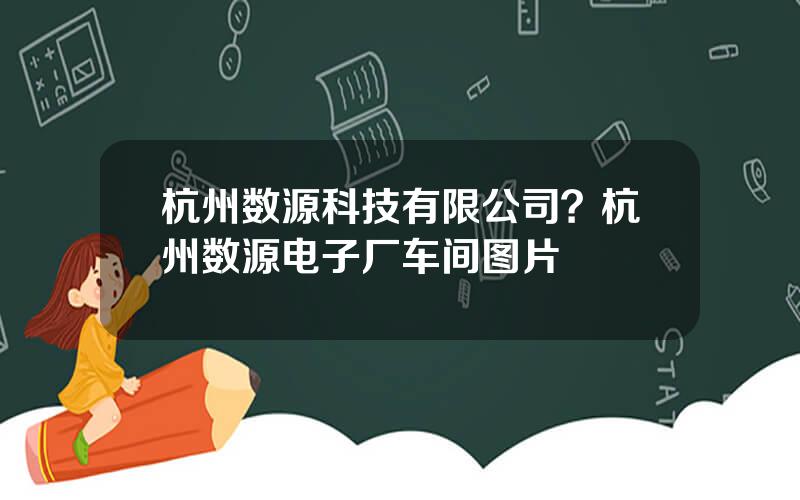 杭州数源科技有限公司？杭州数源电子厂车间图片