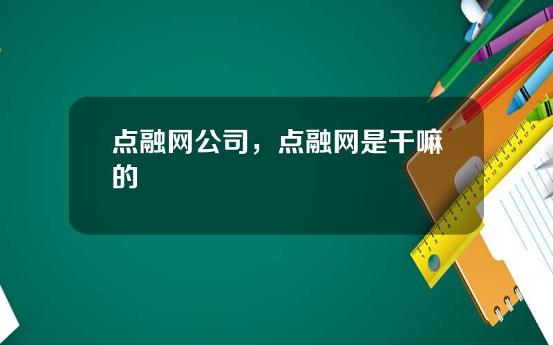 点融网公司，点融网是干嘛的